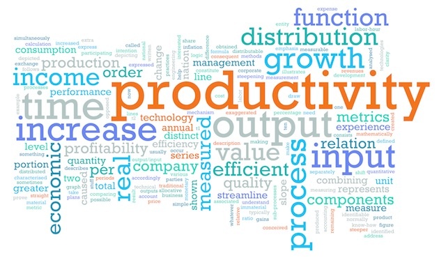 Productivity – from a manufacturing perspective